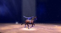 Cкриншот EquiMagic - Galashow of Horses, изображение № 707662 - RAWG