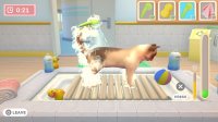 Cкриншот My Universe - Pet Clinic Cats and Dogs, изображение № 2709225 - RAWG