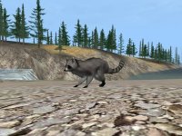 Cкриншот Deer Hunter 2004, изображение № 356758 - RAWG