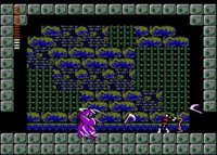 Cкриншот Castlevania II: Simon's Quest (1987), изображение № 803640 - RAWG