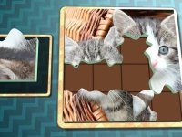 Cкриншот Jigsaw Solitaire Kitties, изображение № 1986715 - RAWG