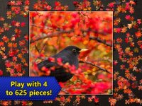 Cкриншот Пазлы Jigsaw Puzzle Epic, изображение № 902513 - RAWG