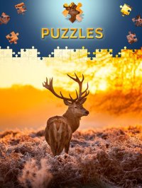 Cкриншот Animals Jigsaw Puzzles 2017, изображение № 963741 - RAWG