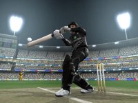 Cкриншот Cricket 2005, изображение № 425604 - RAWG