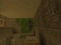 Cкриншот Tomb Raider, изображение № 320421 - RAWG