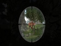 Cкриншот Wild Sniper Hunting animal 3D, изображение № 1716262 - RAWG