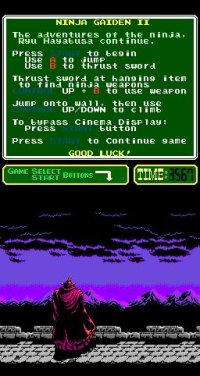 Cкриншот Ninja Gaiden II: The Dark Sword of Chaos (1990), изображение № 737119 - RAWG