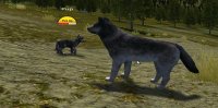 Cкриншот WolfQuest (itch), изображение № 990581 - RAWG