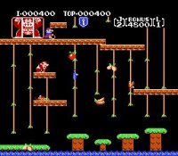Cкриншот Donkey Kong Jr., изображение № 726884 - RAWG