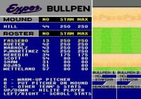 Cкриншот World Series Baseball, изображение № 760978 - RAWG