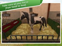 Cкриншот HorseWorld: My Riding Horse, изображение № 1843912 - RAWG