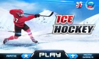 Cкриншот Ice Hockey 3D, изображение № 1441571 - RAWG