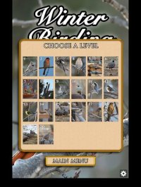 Cкриншот Hidden Scenes - Winter Birding, изображение № 1676029 - RAWG