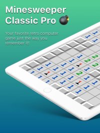 Cкриншот Minesweeper Classic, изображение № 901969 - RAWG