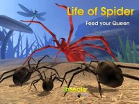 Cкриншот Life Of Spider, изображение № 973845 - RAWG