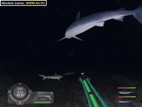 Cкриншот Shark! Hunting the Great White, изображение № 304725 - RAWG