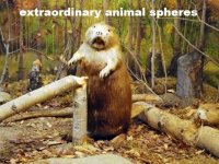 Cкриншот Extraordinary Animal Spheres, изображение № 2623610 - RAWG