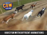 Cкриншот Cow Racing Free Game, изображение № 1780004 - RAWG