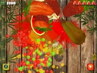 Cкриншот Fruit Cut Game - fruit splash, изображение № 1984038 - RAWG