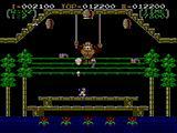 Cкриншот Donkey Kong 3, изображение № 822797 - RAWG