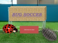 Cкриншот Bug Soccer, изображение № 1737052 - RAWG