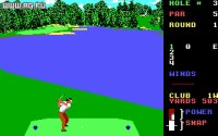 Cкриншот World Class Leader Board Golf, изображение № 337937 - RAWG