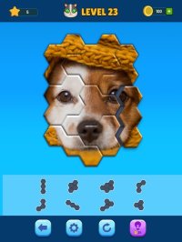 Cкриншот Hexa Jigsaw Puzzle, изображение № 2207535 - RAWG