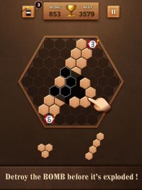 Cкриншот Wooden Hexagon Fit: Hexa Block, изображение № 903118 - RAWG