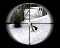 Cкриншот Профессия: охотник, изображение № 485785 - RAWG