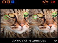 Cкриншот Spot the Differences 100+, изображение № 1614566 - RAWG