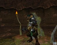 Cкриншот EverQuest: The Legacy of Ykesha, изображение № 382809 - RAWG