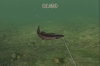 Cкриншот Reel Fishing Challenge, изображение № 247304 - RAWG