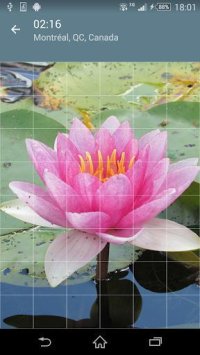Cкриншот Jigsaw Puzzle: Flowers, изображение № 1497464 - RAWG
