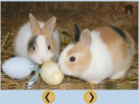 Cкриншот lovely rabbits for kids - free, изображение № 1739567 - RAWG