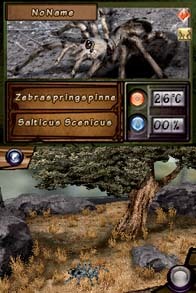 Cкриншот Discovery Kids Spider Quest, изображение № 784736 - RAWG