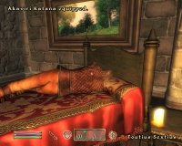 Cкриншот The Elder Scrolls IV: Oblivion, изображение № 699355 - RAWG