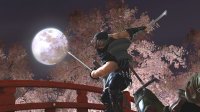 Cкриншот Ninja Gaiden II, изображение № 514326 - RAWG