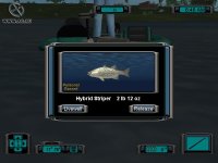 Cкриншот Pro Bass Fishing 2003, изображение № 347095 - RAWG