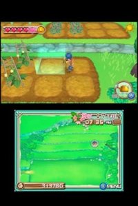 Cкриншот Harvest Moon 3D: A New Beginning, изображение № 795303 - RAWG