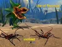 Cкриншот Life of Phrynus - Whip Spider, изображение № 2379588 - RAWG