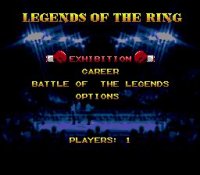 Cкриншот Boxing Legends of the Ring, изображение № 758590 - RAWG