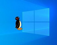 Cкриншот Pingu Desktop Toy: Remake, изображение № 2756677 - RAWG