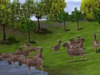 Cкриншот Wildlife Park 2: Crazy Zoo, изображение № 478598 - RAWG