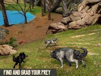 Cкриншот Scary Wolf Online, изображение № 2037296 - RAWG