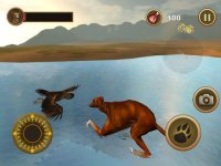 Cкриншот Bird Dog Chase Simulator, изображение № 1835859 - RAWG