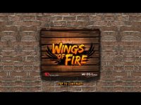 Cкриншот Wings Of Fire - Endless Flight, изображение № 971964 - RAWG