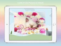 Cкриншот Kitten and Cat Jigsaw Puzzles - A therapeutic stress relief game for Children, Toddlers and Adults!, изображение № 2109854 - RAWG