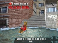 Cкриншот Flood Relief Rescue Dog: Save stuck people lives, изображение № 1780064 - RAWG