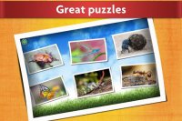 Cкриншот Insect Jigsaw Puzzles Game - For Kids & Adults 🐞, изображение № 1467444 - RAWG