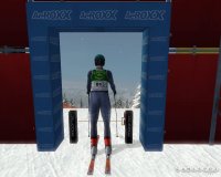 Cкриншот Горные лыжи: Альпийский сезон 2007, изображение № 464220 - RAWG